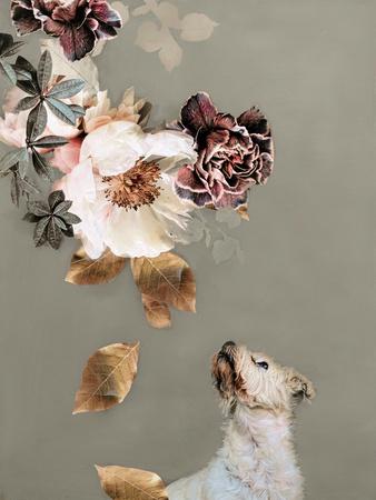 Art Print, , small