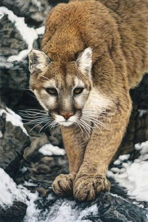Art Print, , small