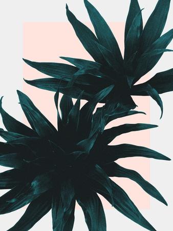 Photographic Print, , small