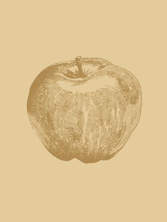 Art Print, , small