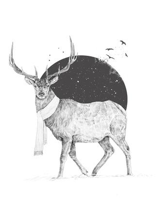 Art Print, , small
