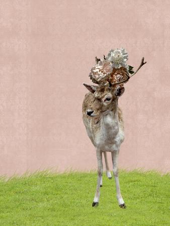 Art Print, , small