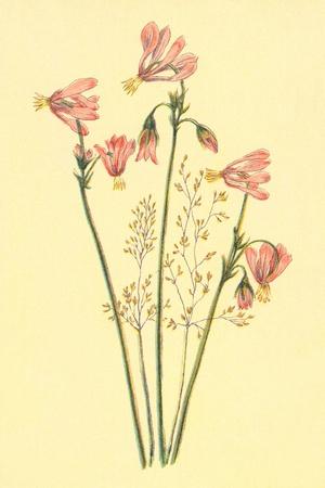 Art Print, , small