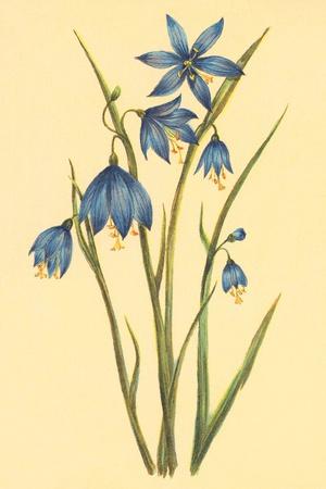 Art Print, , small