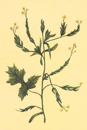Art Print, , small