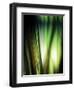 Organic I-Andrew Michaels-Framed Photographic Print