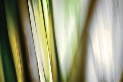 Photographic Print, , small