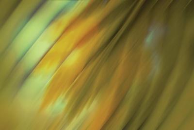 Photographic Print, , small