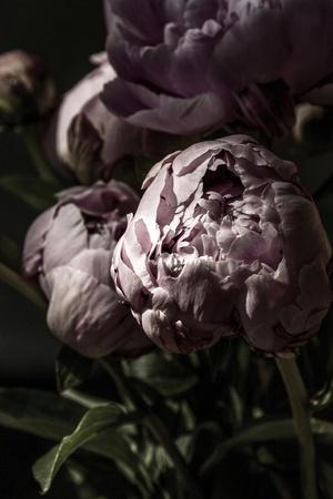 Photographic Print, , small