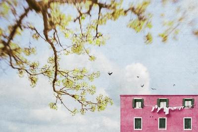 Photographic Print, , small