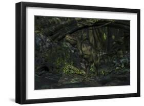 Tyrannosaurus Rex in a Prehistoric Forest-null-Framed Art Print