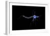 Conceptual Image of a Neuron-null-Framed Art Print