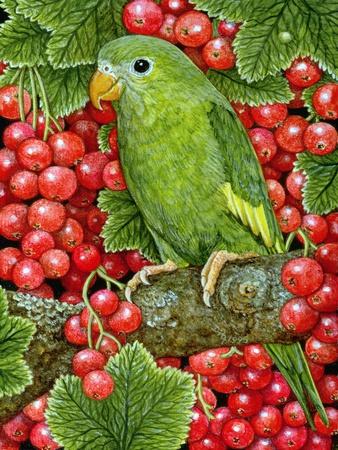 Giclee Print, , small