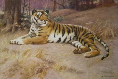 Giclee Print, , small