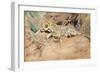 A Leopard-Kuhnert Wilhelm-Framed Giclee Print