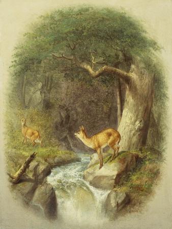 Giclee Print, , small