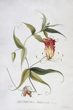 Giclee Print, , small