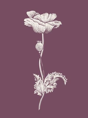 Art Print, , small