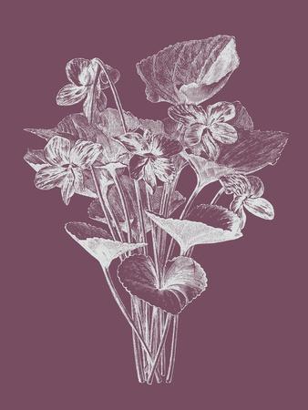 Art Print, , small