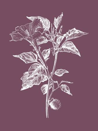 Art Print, , small