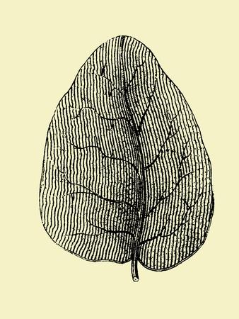 Art Print, , small