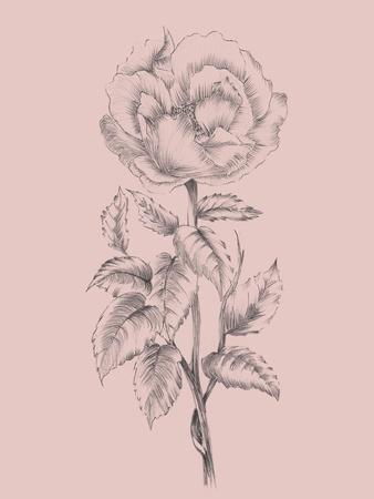 Art Print, , small