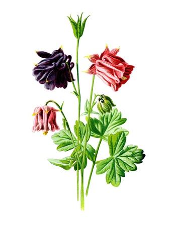 Art Print, , small