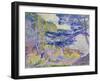Coastal Landscape, (Le Cap Layet, Petite Version), Um 1904-Henri Edmond Cross-Framed Giclee Print