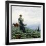 The Cabbage Field. 1914-Charles Courtney Curran-Framed Giclee Print