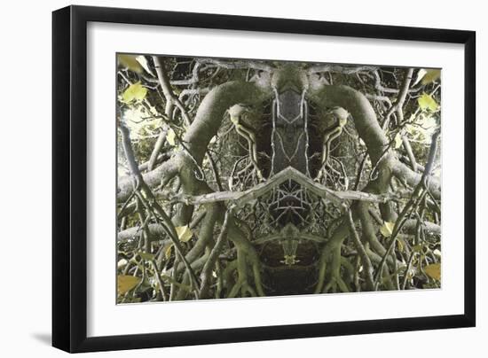 Unnatural 41-Giovanni Cafagna-Framed Giclee Print