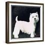 Westie, 1991-Maggie Rowe-Framed Giclee Print