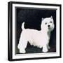 Westie, 1991-Maggie Rowe-Framed Giclee Print