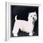 Westie, 1991-Maggie Rowe-Framed Giclee Print