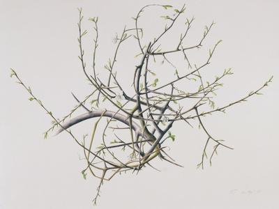 Giclee Print, , small