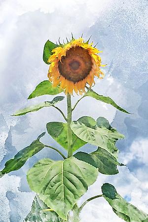 Art Print, , small
