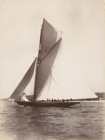 Giclee Print, , small