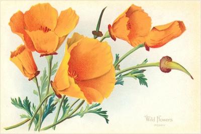 Art Print, , small