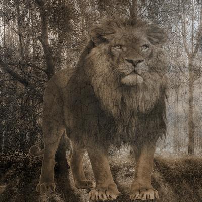 Art Print, , small