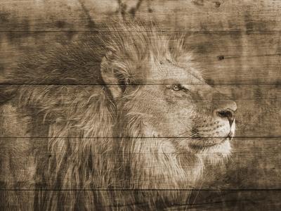 Art Print, , small
