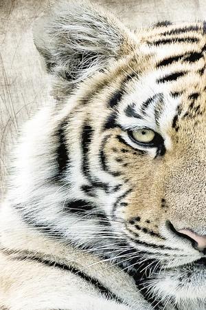 Art Print, , small