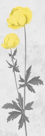 Art Print, , small