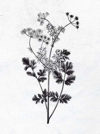 Art Print, , small