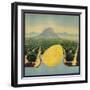 Grapefruit and Orchard - Citrus Crate Label-Lantern Press-Framed Art Print