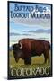 Buffalo Bills Lookout Mountain, Colorado - Bison Scene-Lantern Press-Mounted Art Print