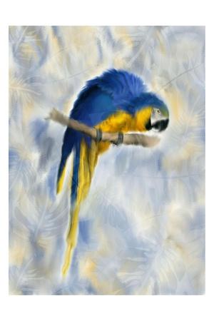 Art Print, , small