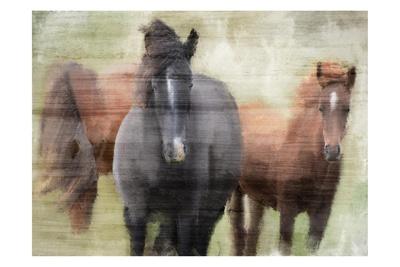 Art Print, , small