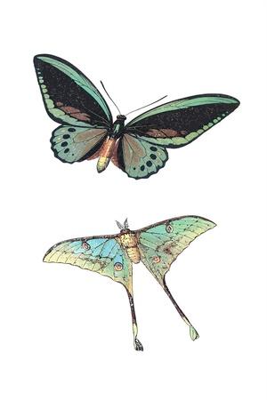 Art Print, , small