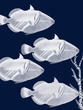Art Print, , small