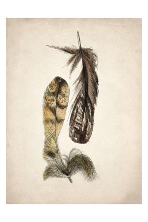 Art Print, , small