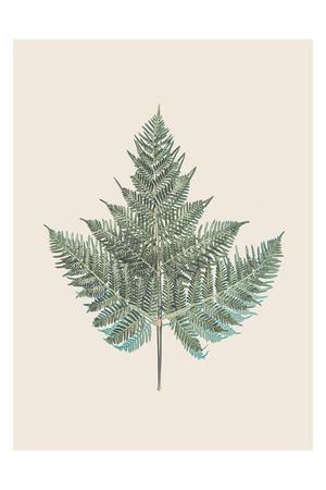 Art Print, , small